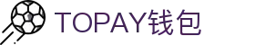 TOPAY钱包 - 安全便捷的个人财务管理工具